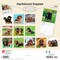 BrownTrout; Dachshund Puppies | 2027 12 x 24 Inch (Hanging) Monthly Square Wall Calendar | Plastic-Free; Category:Wall Calendars; Image:3